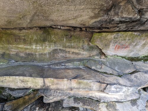 Image of Banner Demoiselles